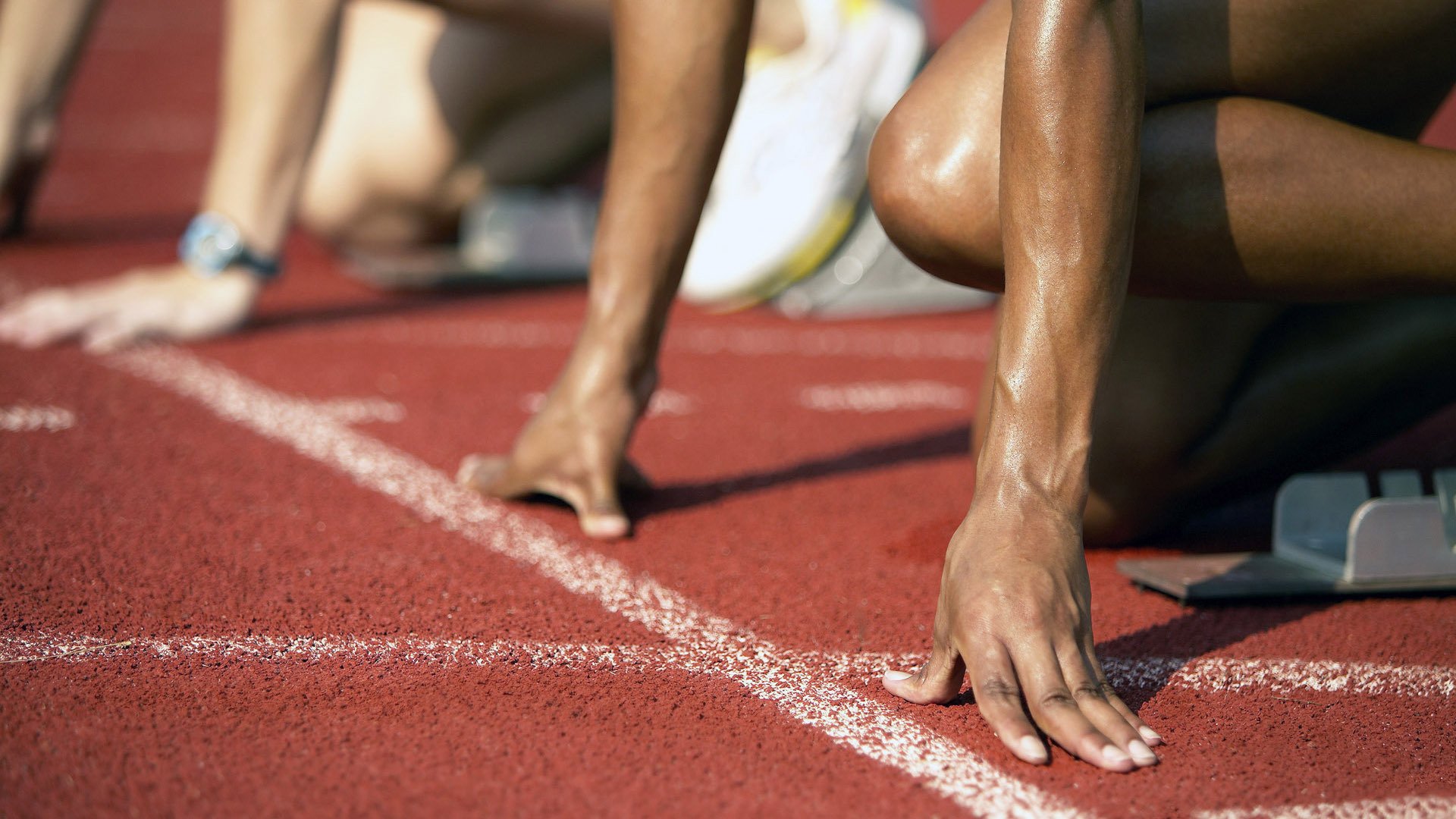 女子排球精英联赛赛程表正式发布，女子排球精英联赛赛程表正式发布了吗